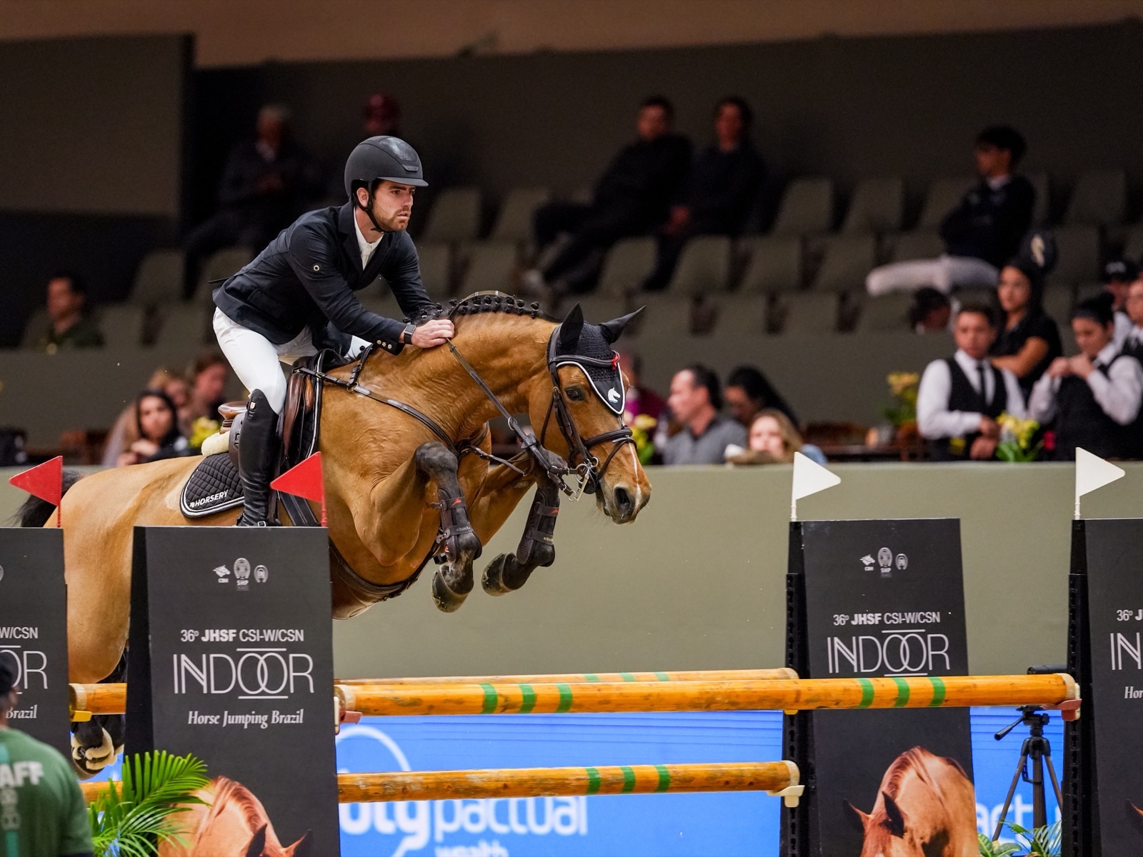Qulana de Leau Z jumping at JHSF CSI-W Indoor 2026